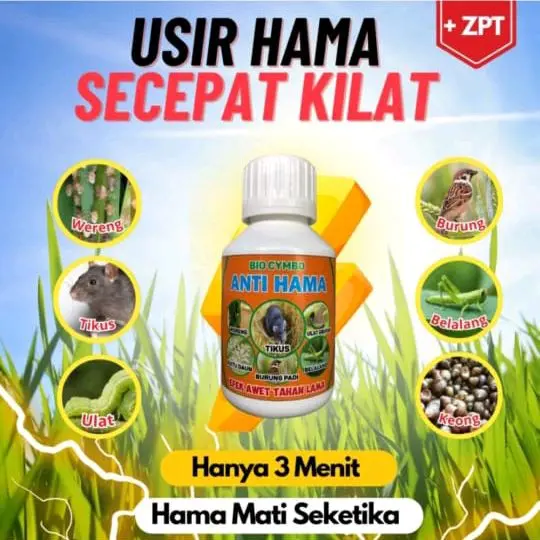 BIO HAMA No1 bio cymbo Anti hama - usir hama secepat kilat-  Beli 3 gratis 1