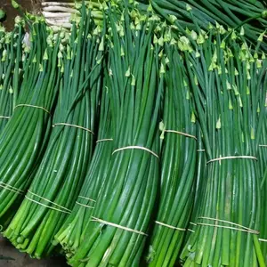 bunga bawang 500 gram asli dari kebun