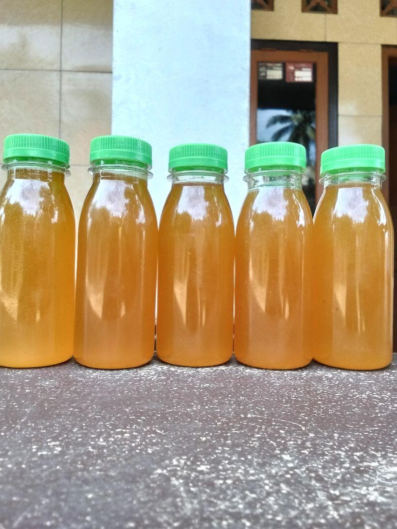 Madu odeng hutan liar 100 ml