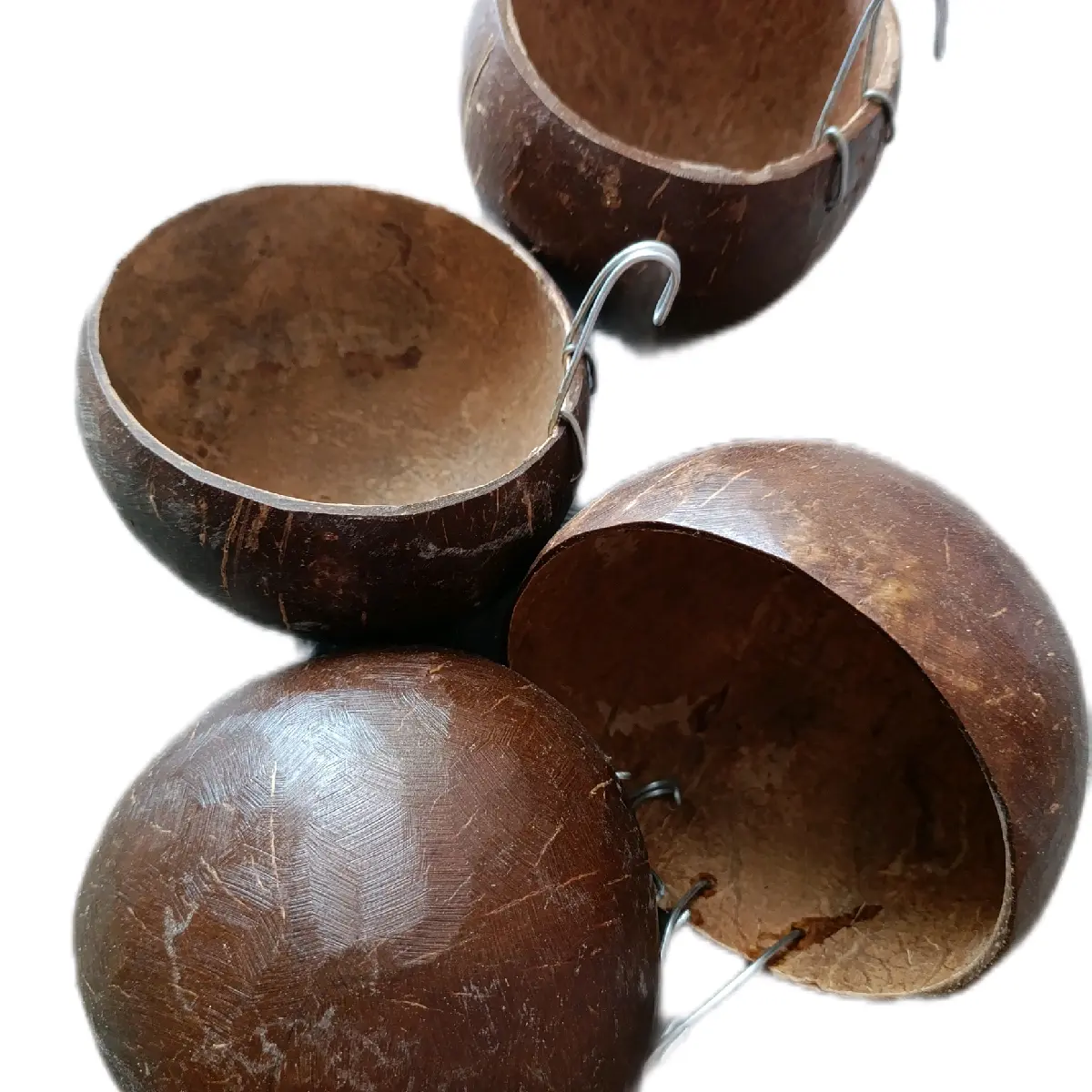 Batok kelapa tempat makan ayam
