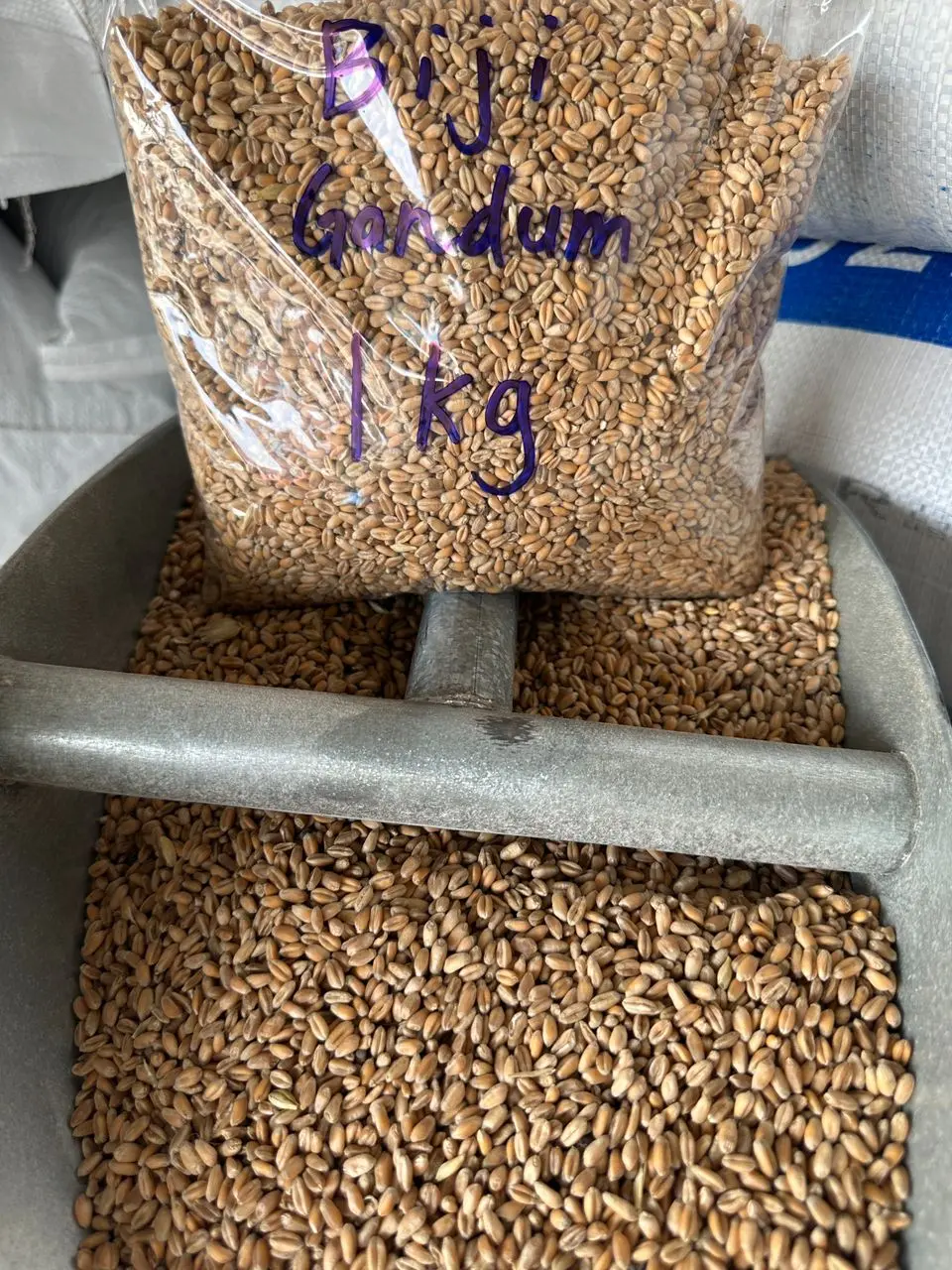 {BIJI GANDUM UNTUK HAIWAN}REPACK 1KG