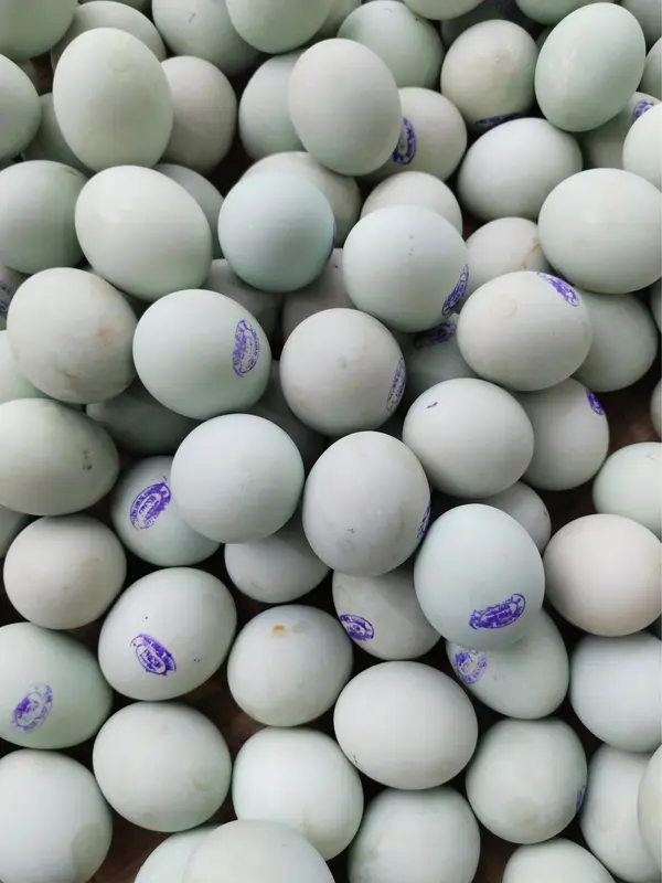 Telur Asin Fresh Premium Isi 10 Butir, Masir Gurih Pulen Telur Asin Bebek 2