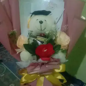 Buket boneka dan uang kosong 10 lembar Custom selempang boneka  free kartu ucapan / buket boneka wisuda / buket hadiah/ buket sempro Kado Bunga