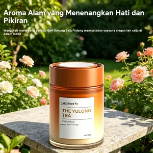 Parfum Mobil 180g Formula Tanpa Alkohol dan Bahan Kimia Berbahaya Lembut Tidak Mengiritasi Kulit dan Saluran Pernapasan Aroma Alami Tahan Lama Menghilangkan Bau Tak Sedap Aman untuk Pengguna dengan Alergi dan Sensitivitas Pernapasan (COD)