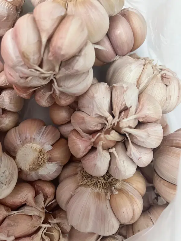 Bawang Putih 500gr 1/2kg Baput BP Bersih Banci Honan Fresh Garlic - Loka Pangan 4