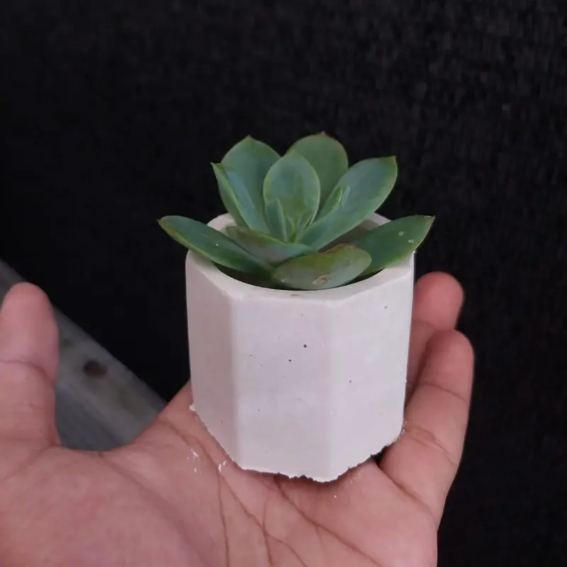 Pot Semen Putih Aesthetic Minimalis Murah 0