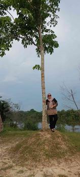 Product Review of Wella blouse rajut import jumbo melar Knitwear from S** a**# 0