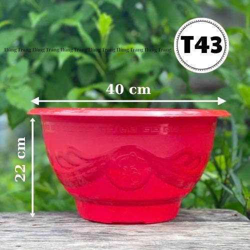  5 Cái chậu nhựa trồng cây T43 dày dặn 