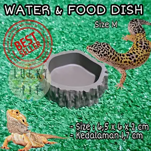 Water Dish Medium tempat wadah minum reptil reptile gecko hewan tokek ular kalajengking tarantula