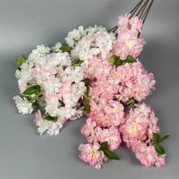Gambar 50PCS Bunga Cherry Blossom Tanpa Daun Cabang 100cm Sakura Tangkai Panjang Bunga Dekorasi Artificial - Warna Putih, 50pcs dari Dekorasi Tanaman Buatan Kab. Tangerang 5 Tokopedia