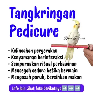 Tangkringan Perch Jepit pedicure burung parrot mengkikis kuku cockatiel love bird sun conure ysc nuri kenari finc beo murai