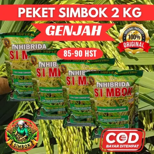 (2KG)GENJAH PADI SIMBOK USIA PANEN 85-90 HST POTENSI HASIL 9-10 TON PER HEKTAR ORIGINAL
