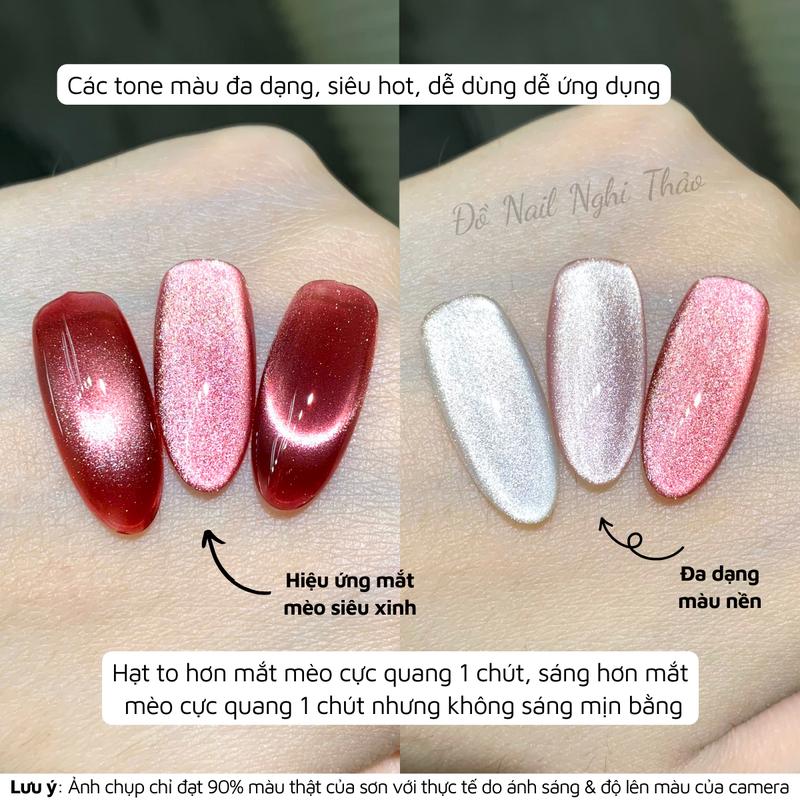 Set sơn gel mắt mèo thạch anh RAMYLA 12 màu [Tặng kèm nam châm chữ nhật+thanh tạo mắt mèo trái tim] 3
