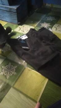 Product Review of Celana Kantor Pria Slim Fit 27-32 Formal Bahan woll Nyaman Di Pakai abu Muda Navy Panjang Kerja Hitam Abu Santai Low Waist Semi Kain Dewasa from y**a 0