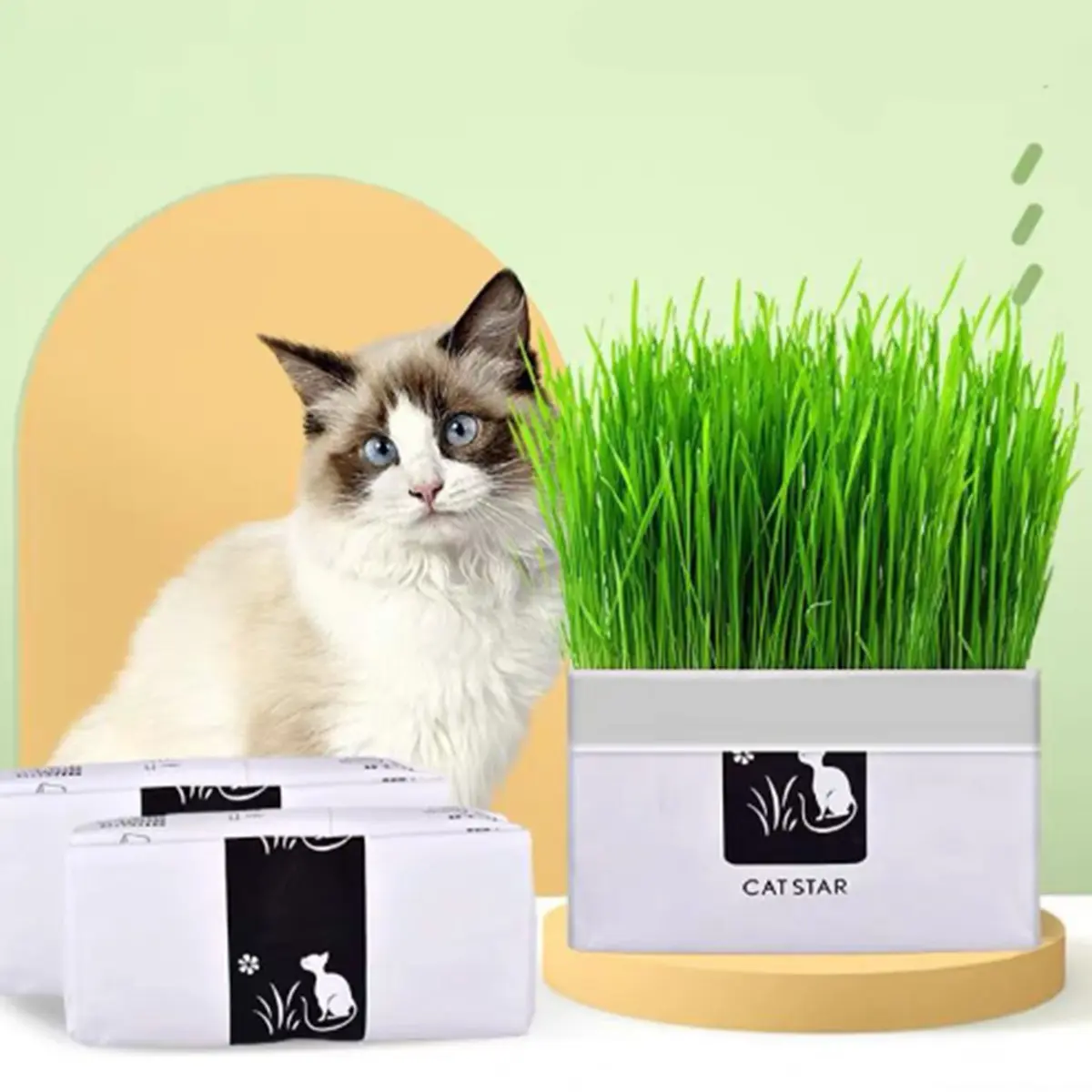 Cat Grass Digestion Potted Set Cat Grass Cat Snacks Hair Ball Cleaning Gastrointestinal Grass Pet Supplies 50g