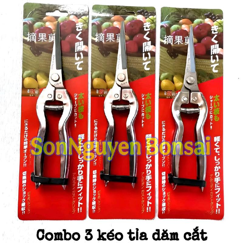 Hàng Chính Hãng Combo 3 Chiếc Kéo Tỉa Dăm Cắt Tỉa Cây Cảnh ,Cây Bonsai Thép Trắng Không Gỉ.