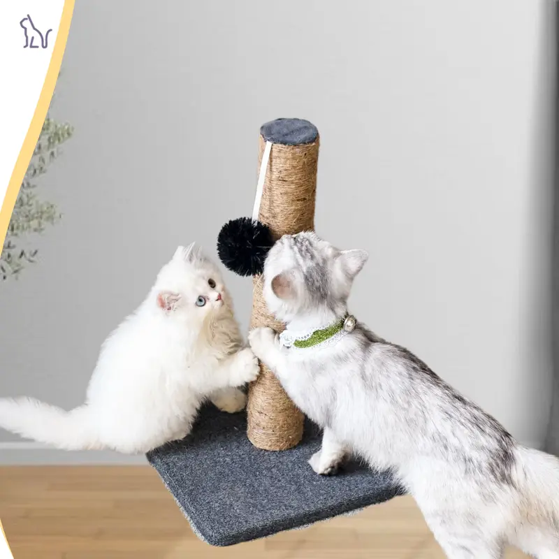 CASPIRA  SQUARE SERIES CaspiraCat Condo - Garukan Kucing - Cakaran Kucing - Cat Scratcher - Mainan Kitten Persia Anggora Himalaya Peaknose 3