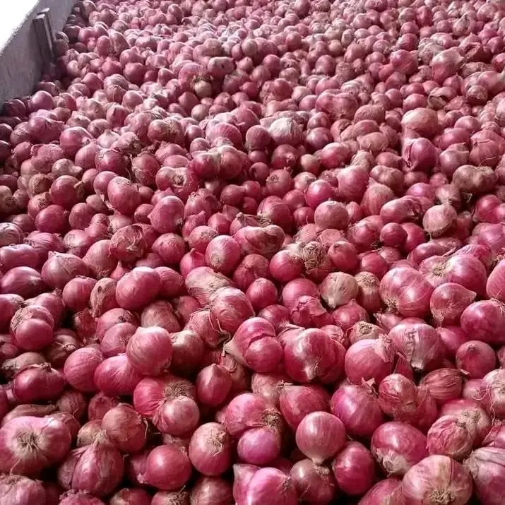Bawang Merah Kering 1Kg  Spices-Bumbu Dapur Kering-Rempah Bumbu Masak Food Masakan Lezat 1