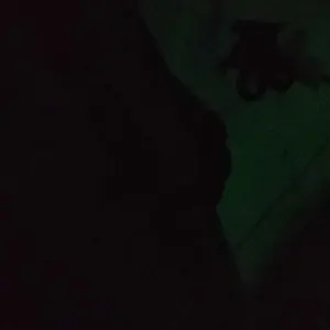 [2 meter] Slinger / Hiasan / Pernak-pernik Parcel Lebaran Idul Fitri Motif Ketupat dan Bulan Bintang Tebal 5cm Warna Hijau