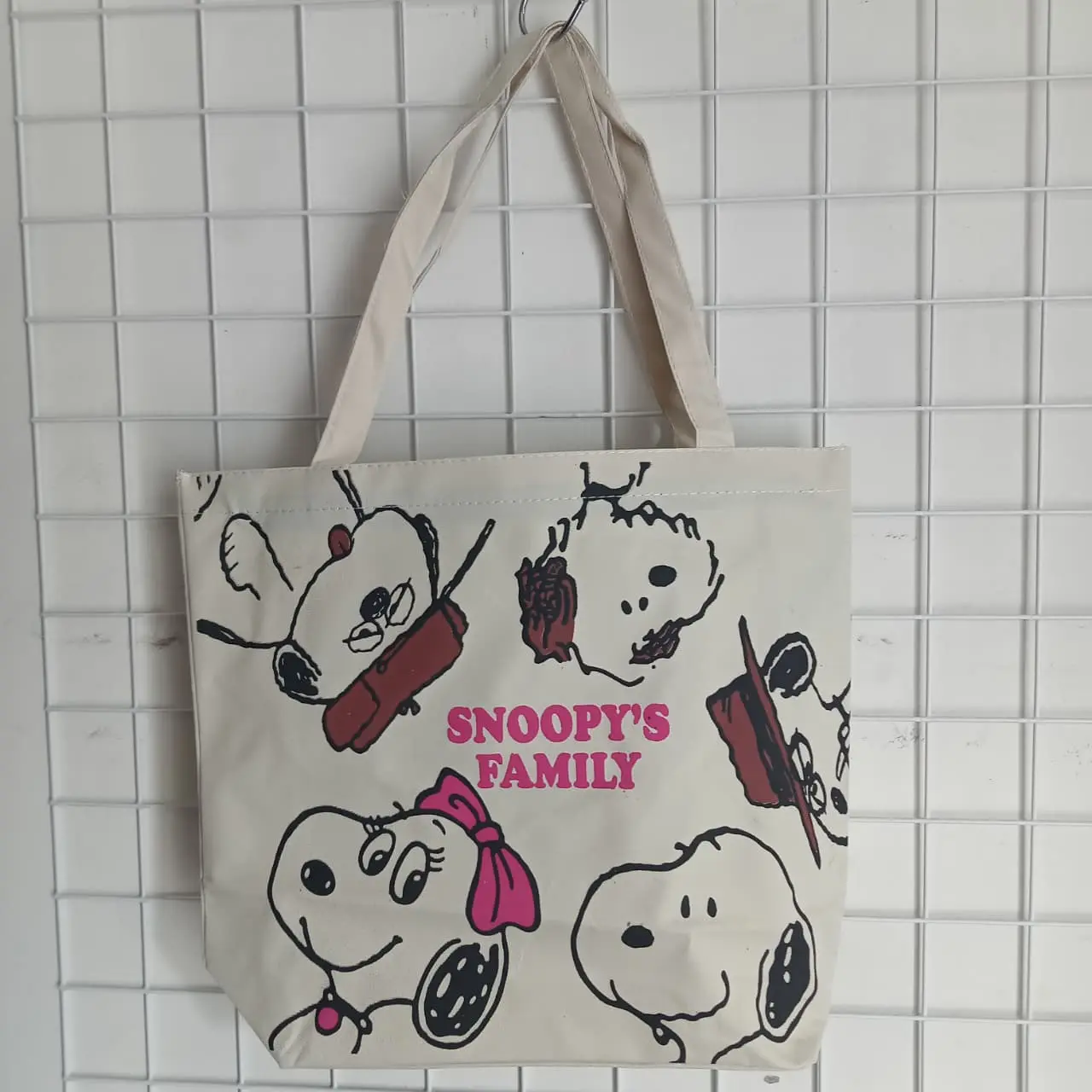 Snoopy family