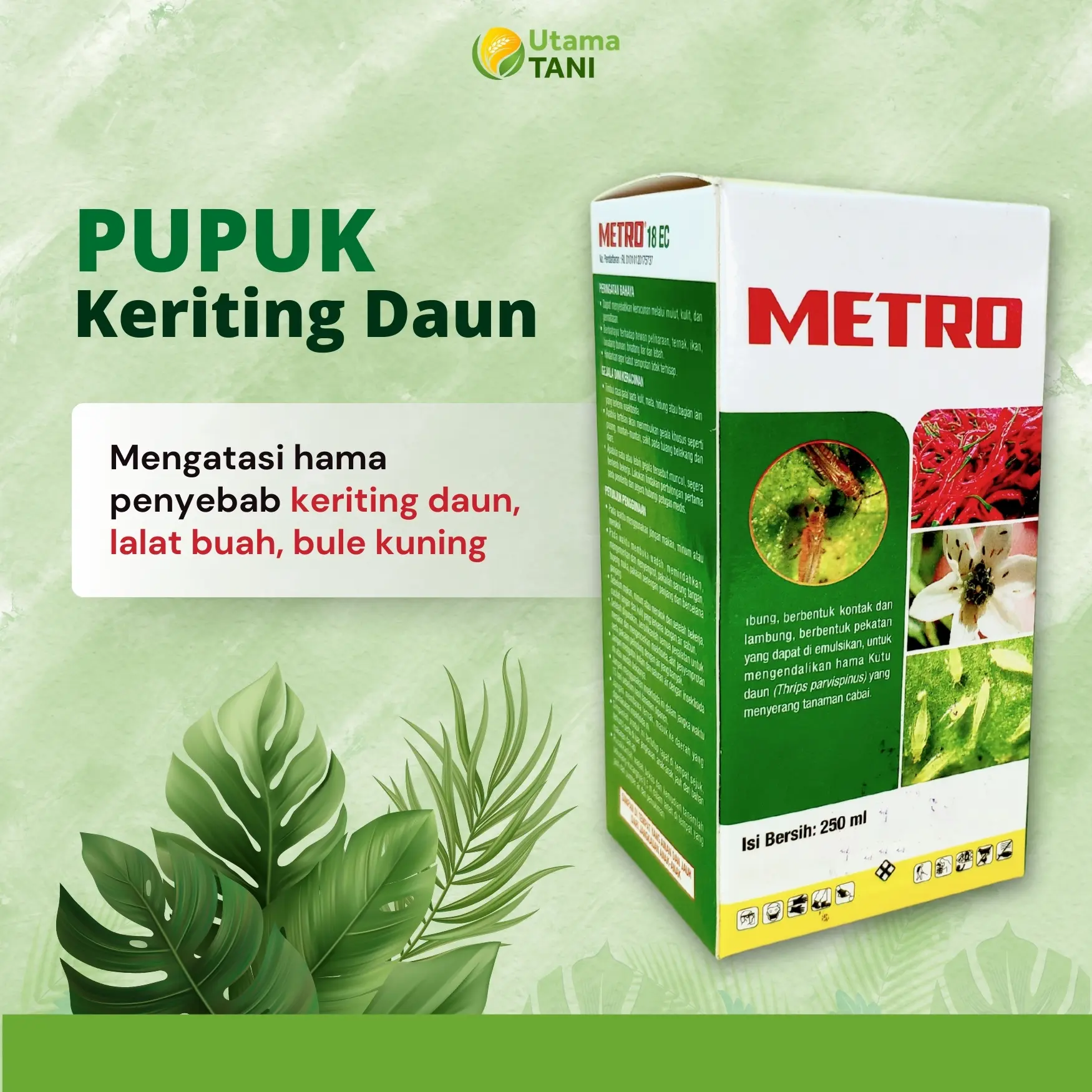 Metro Obat Anti Hama Serangga Pencegah Keriting Daun Tanaman Bule