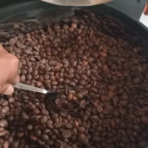 jual biji kopi robusta rosting 1 kg kualitas terbaik 100 % tampa campuran di proses dari ketinggian 1400 MDPL