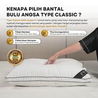 Gambar Paket 1 Bantal + 1 Guling Bulu Angsa Asli Type Classic 40% Down (Firm) dari ddpillow Kota Administrasi Jakarta Barat 3 Tokopedia