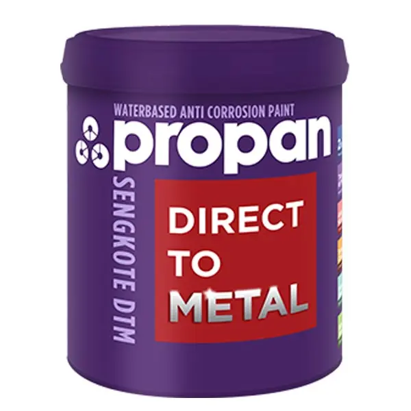 CAT KHUSUS SENG/METAL/BESI GALVANIS ANTI KARAT PROPAN SENGKOTE DTM (1 KG)