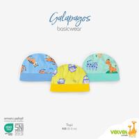 Gambar Velvet Junior Topi Bayi - BasicWear Mighty Roar, Starlight,Galapagos - Mighty Roar, NB 0-3 Bulan dari VelvetJunior_NEW Kota Administrasi Jakarta Barat 3 Tokopedia