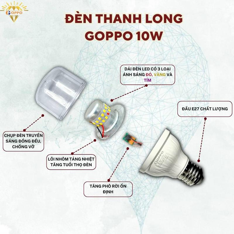 Bóng Đèn Xông Thanh Long, Đèn xông thanh long, đèn led 9w 10w xông thanh long