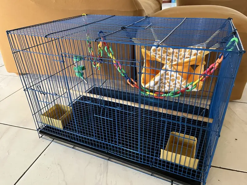 kandang sugar glider tupai fullset size L 0