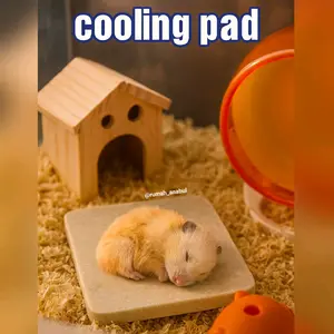 Cooling pad hamster, alas pendingin hamster, alas marmer hamster, alas tidur hamster