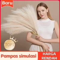 Gambar Wholesale pampas 1 PCs/Without Feathers/Pampas/rustic dried flowers Bunga Hiasan Rotan - Abu-abu (Grey), 1 PCS (Sampel) dari Dekorasi Tanaman Buatan Kab. Tangerang 1 Tokopedia