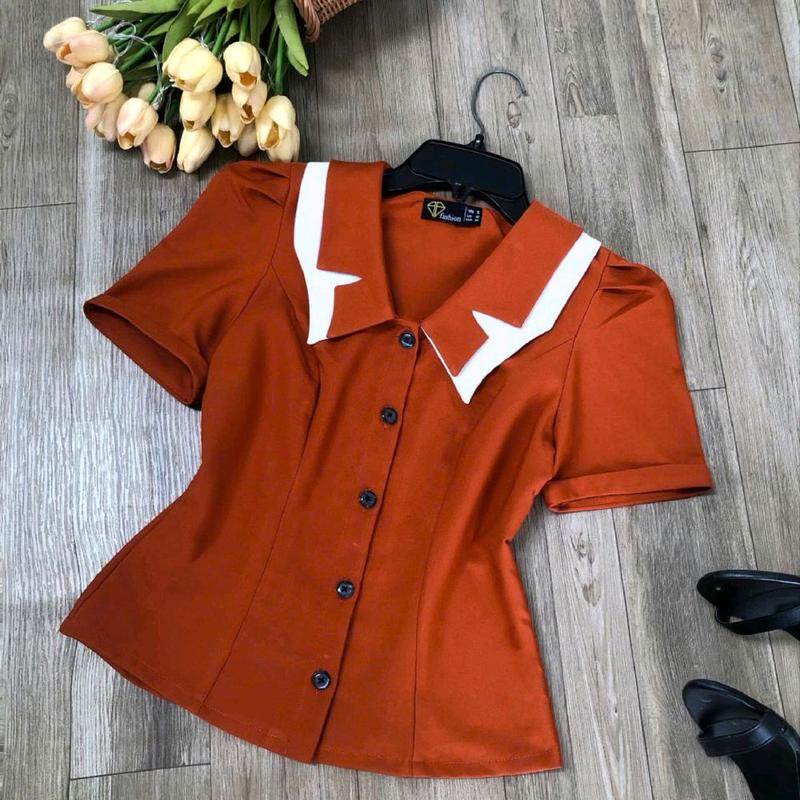 Áo sơ mi kiểu công sở có bigsize 2