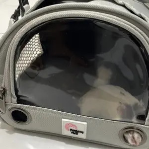 Pawsitive Vibes Tas  Kitten Puppies Anjing Kucing Pet Travel Bag - Pet Carrier Tas Selempang Jinjing Hewan Peliharaan - Pet Shoulder Bag blacan  kucing