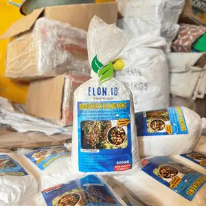 Booster Kelengkeng Horor 500GR Murni - Serbuk Pupuk Tanaman