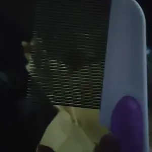 SISIR KUTU BESI //SERIT KUTU GAGANG BESI