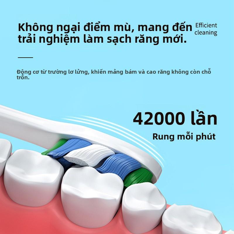 Bàn chải điện gia đình, bàn chải điện người lớn, bàn chải đôi, sạc điện, siêu âm, lông mềm