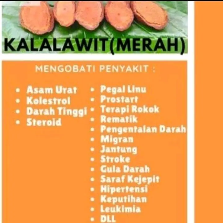Akar Bajakah Kalalawit Kalimantan - Pelancar untuk Kesehatan 3