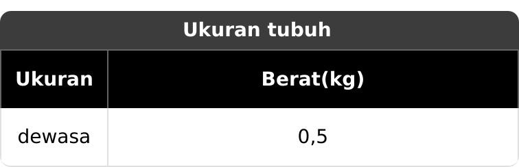 Alfarizi Quinsha Mukena Travel Mini Pouch Remaja Dewasa 2in1 Katun Motif Angela Series Atasan Bawahan Serasi