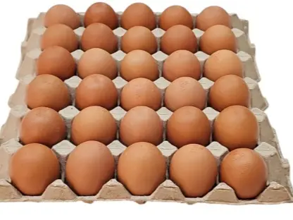 Fresh Grade A Egg, 65g-70g, 30piece per tray