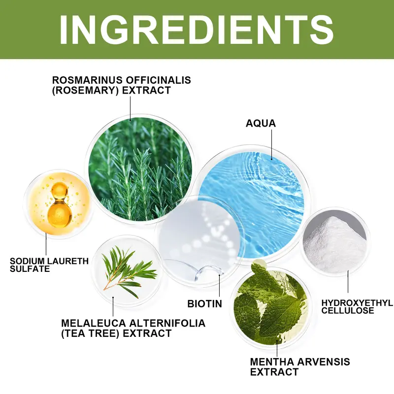 EELHOE Rosemary Mint Strengthening Shampoo 100ml Melembapkan Dan Menghidrasi Rambut Memperbaiki Rambut Kering Dan Bercabang Meningkatkan Kilau Rambut Cocok Untuk Semua Jenis Rambut obat  rambut  ngembang  biar  lurus shampoo  penghitam  uban 2