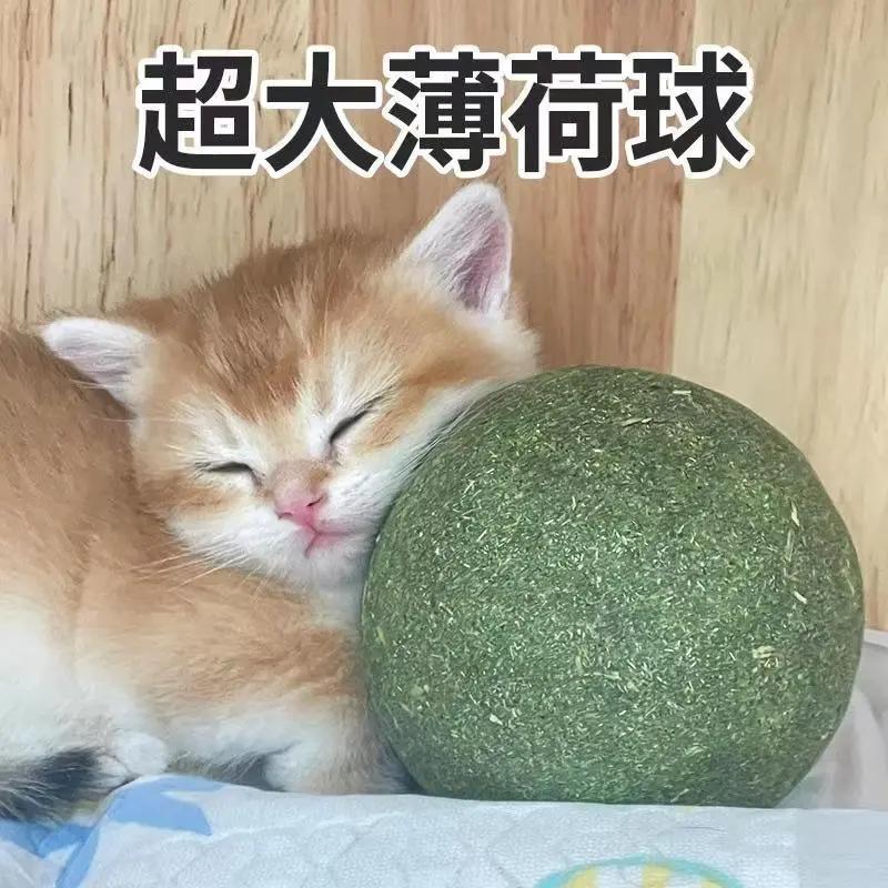 Đồ chơi mèo siêu lớn, bóng bạc hà, giúp mèo con tự chơi giải trí, mài răng, bền chắc, gậy trêu mèo, đồ chơi cho thú cưng.