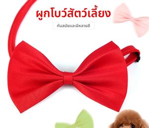 เครื่องประดับศีรษะสัตว์เลี้ยง แฟชั่น เนคไทโบว์เล็ก เหมาะสำหรับลูกสุนัข แมว และสุนัข สามารถใช้เป็นเนคไทโบว์