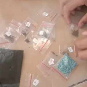 Paket Hemat 13 Macam Benih Sayuran Isi Terbanyak - Benih Sayuran Sawi Benih Bayam Bibit Berkebun Kangkung Kemangi Pakcoy Putih Selada Merah Seledri Terong Hijau Timun Tomat