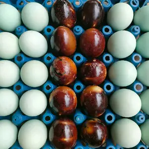 Telor asin 10 butir original dan bakar asli Brebes telor asin Masir asli telor bebek