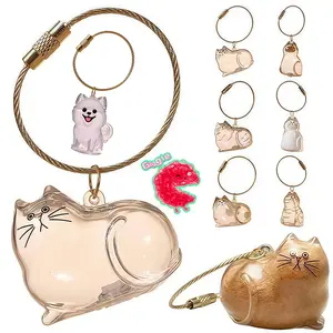 Kucing Liontin Kotak Penyimpanan Rambut Kucing Transparan Gantungan Kunci Kapsul Rambut Kucing Bernilai Tinggi Kotak Penyimpanan Rambut Hewan Gantungan Kunci Tas