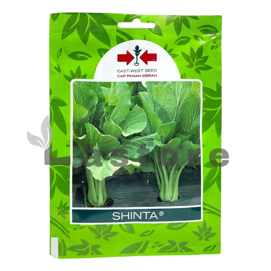 Benih Caisim SHINTA Isi 2000 Butir Cap Panah Merah Daun