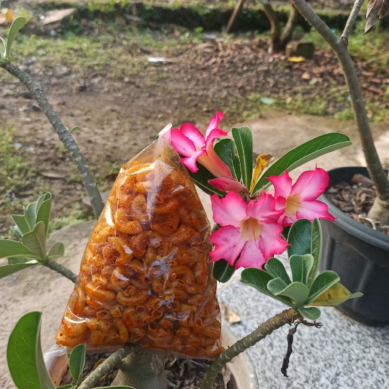 Makaroni Bantat 1/2 kg original,Pedas,ekstra pedas,Balado 0