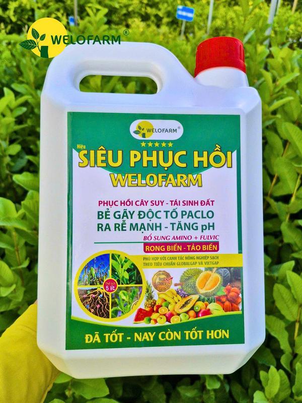 Phục Hồi Cực Nhanh Phân Bón Hữu Cơ SIÊU PHỤC HỒI Hoa Kỳ Cấp Cứu Cây Suy Kiệt Cây Vàng Lá Cây Sau Thu Hoạch Tái Sinh Đất Tăng PH Cây Phục Hồi Nhanh